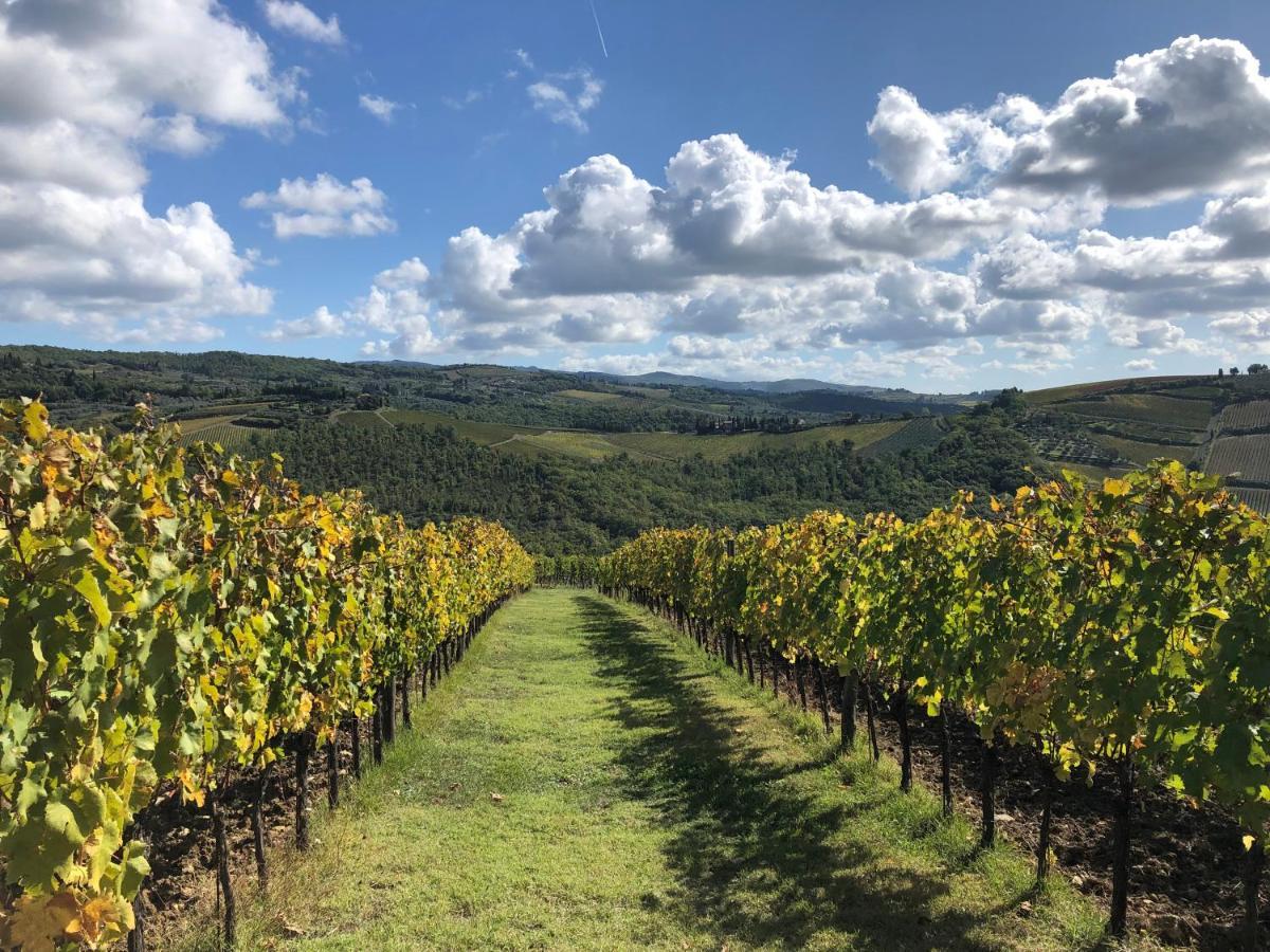 Vila Fattoria Di Rignana Greve in Chianti Exteriér fotografie