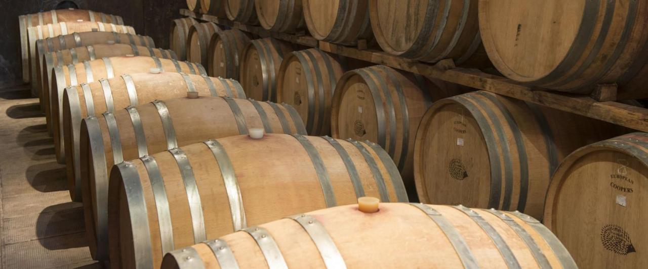 Fattoria Di Rignana Winery Bnb Greve in Chianti Exteriér fotografie