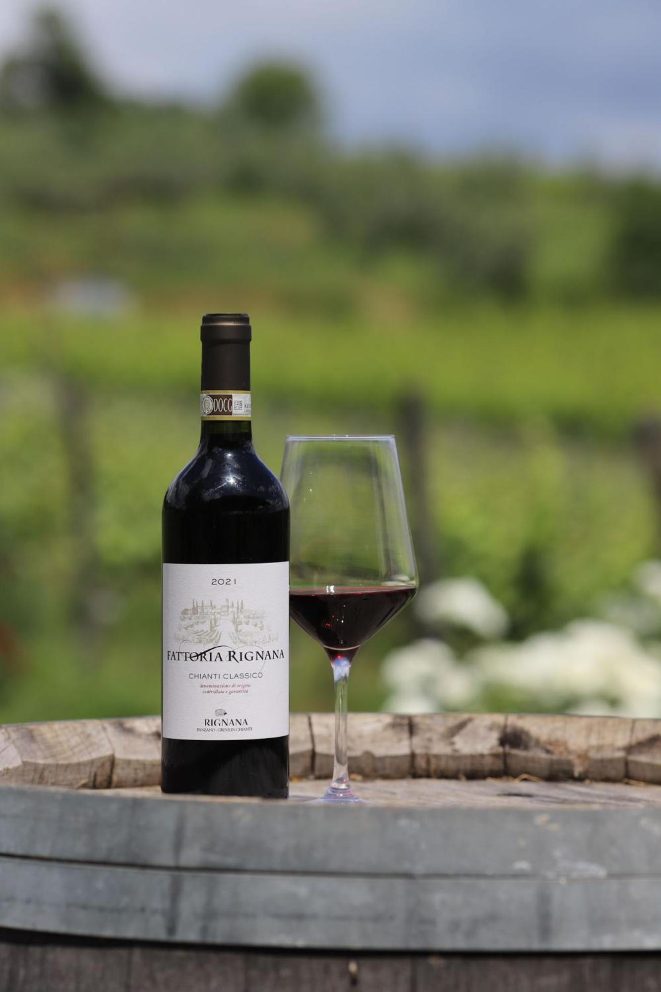 Fattoria Di Rignana Winery Bnb Greve in Chianti Exteriér fotografie