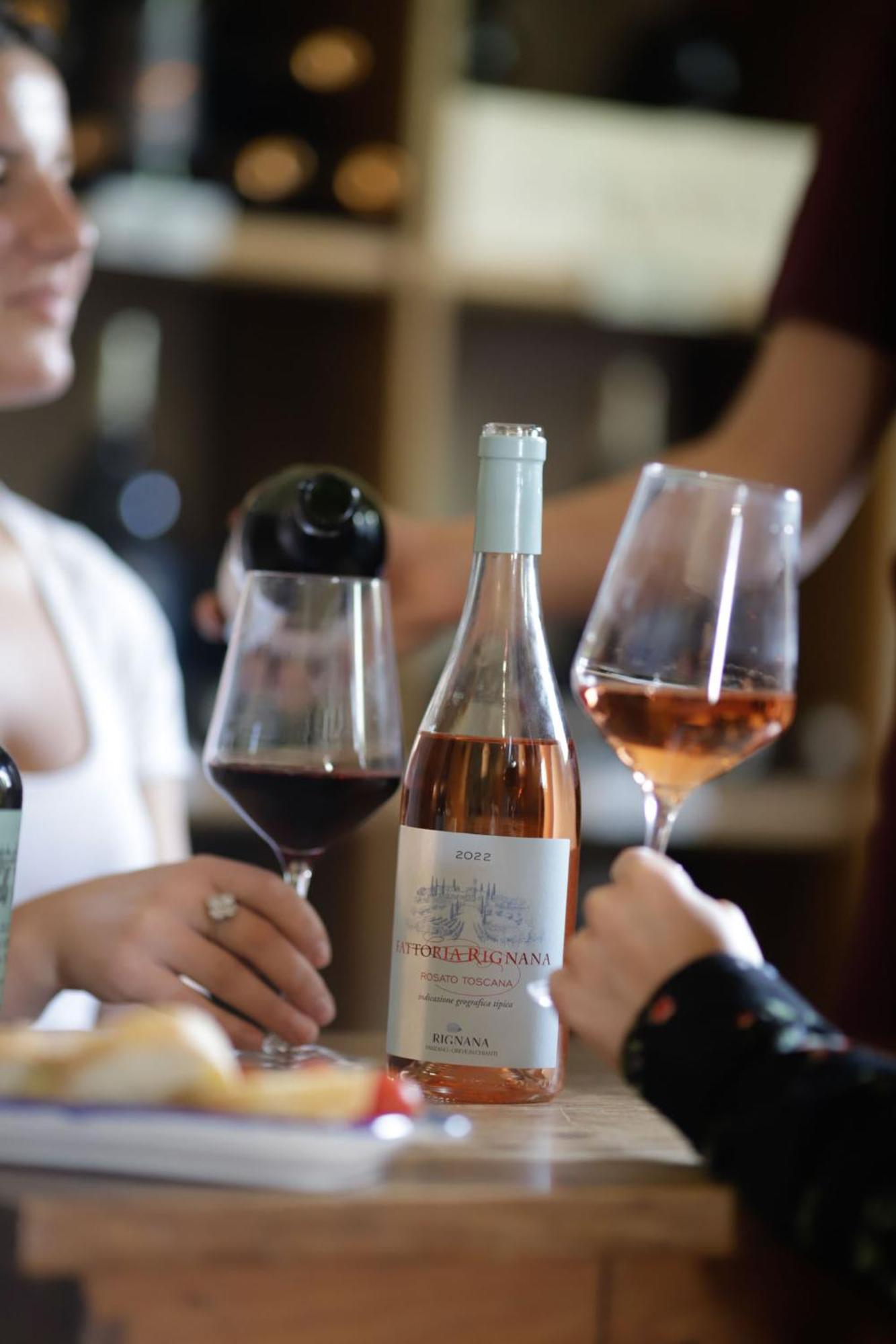 Fattoria Di Rignana Winery Bnb Greve in Chianti Exteriér fotografie